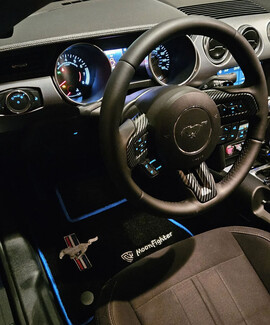 Коврики на Ford Mustang VI 2013&nbsp;-&nbsp;2023 в Ярославле